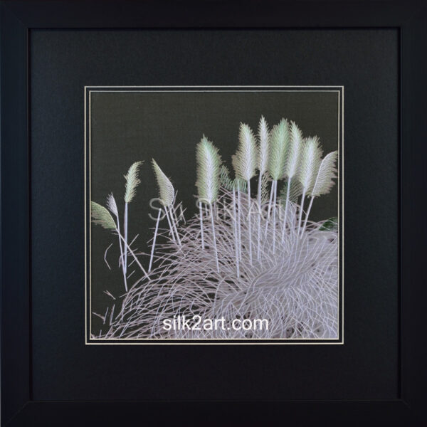 Silver Reeds (Medium)