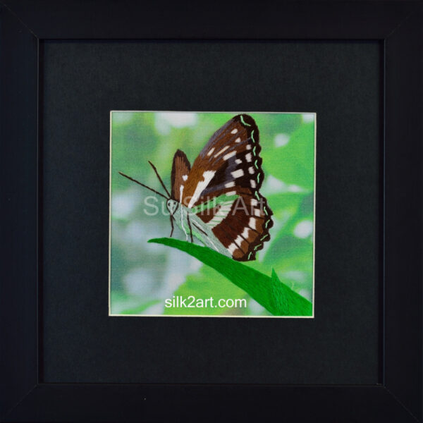 Butterfly on Leaf Tip (Small)