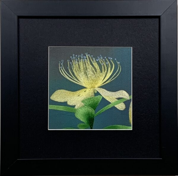 Chrysanthemum (small)