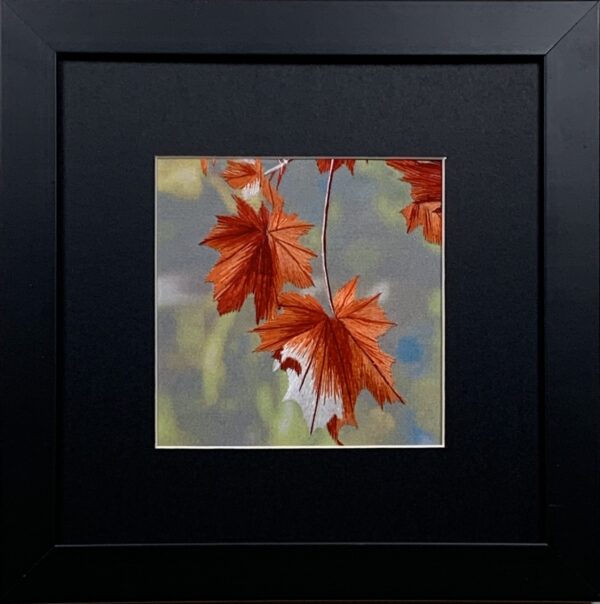 Maple Leaves (small)