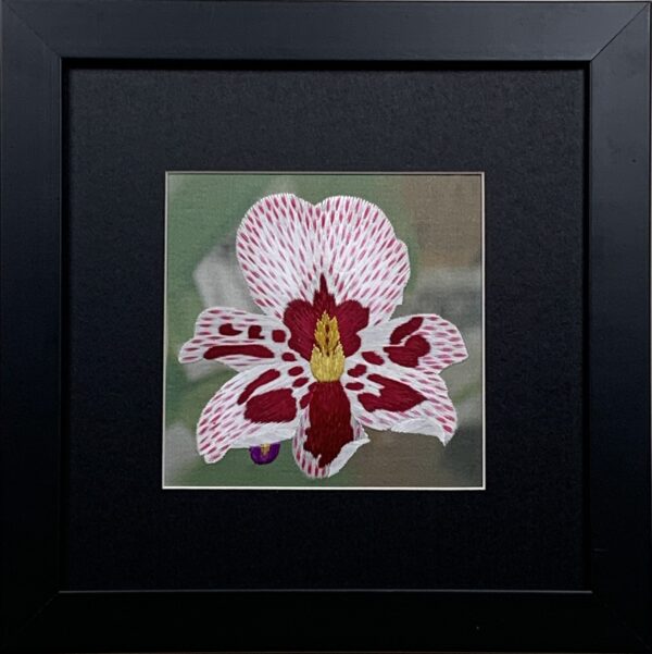 Orchid (small)