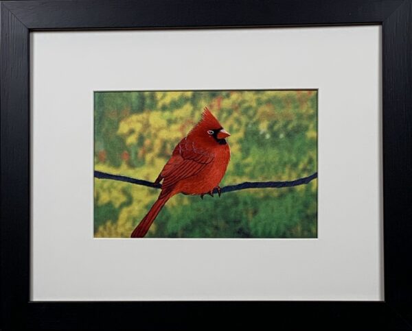 Cardinal (Rectangular 12cmx18cm)