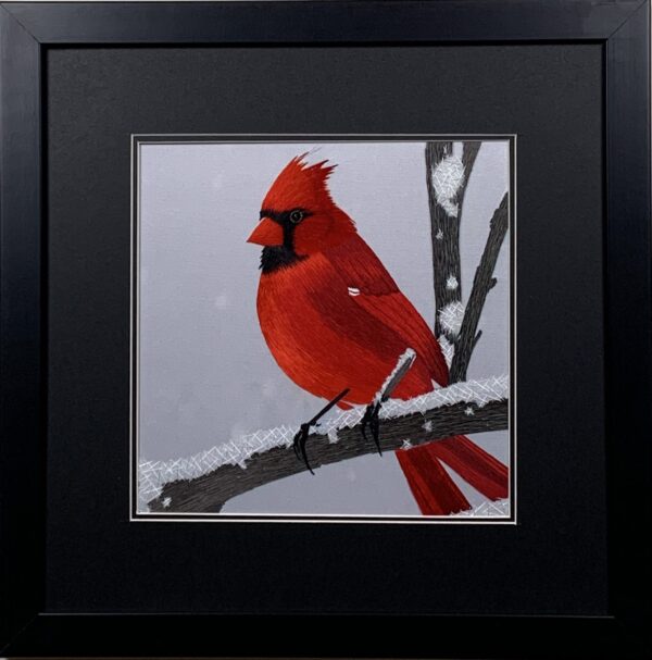 Cardinal on Snow Branch (Medium)