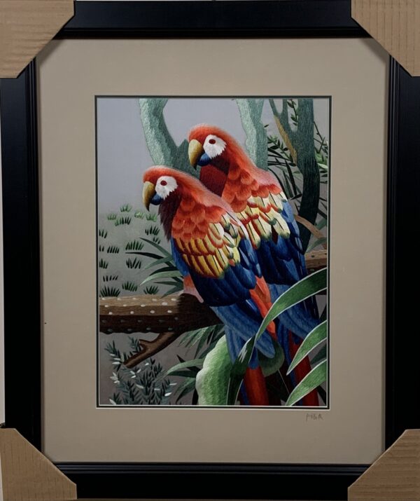 2 Parrots