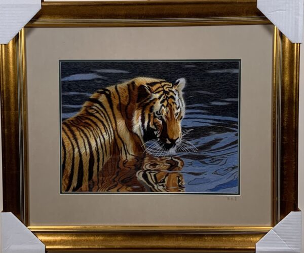 Swimming Tiger