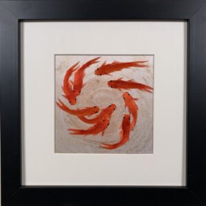 9 Koi Fishes Swimming in circle (Small)